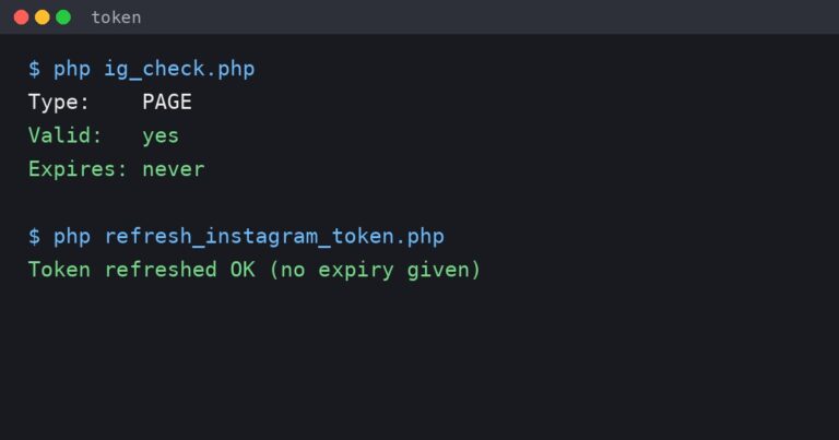 Terminal output showing an Instagram token check